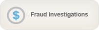 Fraud Investigations 